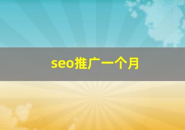 seo推广一个月