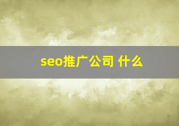 seo推广公司 什么