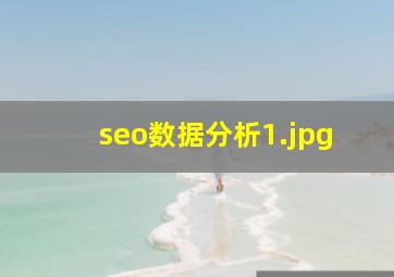 seo数据分析