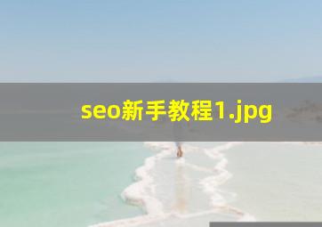 seo新手教程