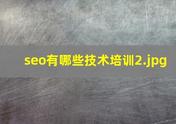seo有哪些技术培训