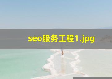 seo服务工程