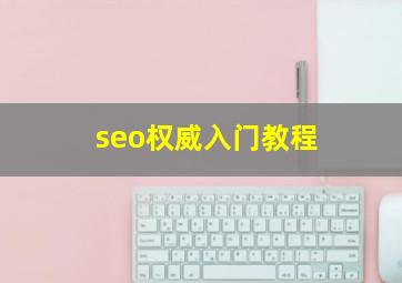 seo权威入门教程