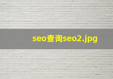 seo查询seo
