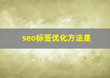 seo标签优化方法是
