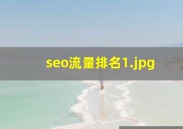 seo流量排名