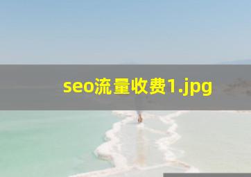 seo流量收费