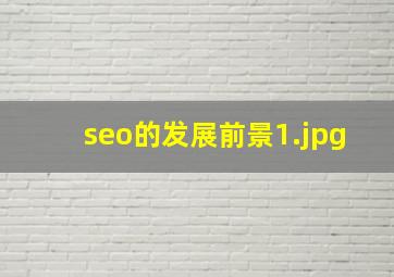 seo的发展前景