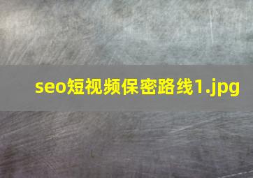 seo短视频保密路线