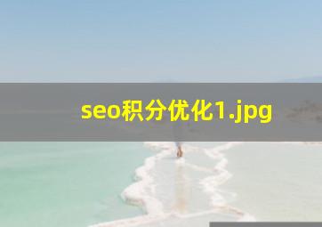 seo积分优化