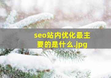 seo站内优化最主要的是什么