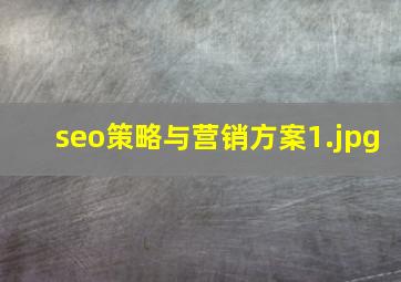 seo策略与营销方案