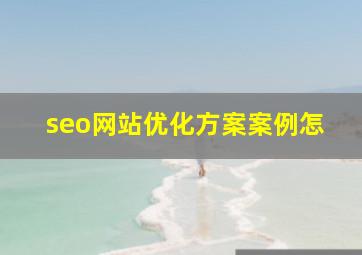 seo网站优化方案案例怎