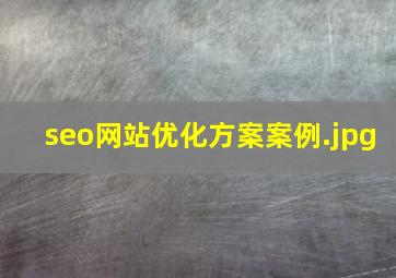 seo网站优化方案案例