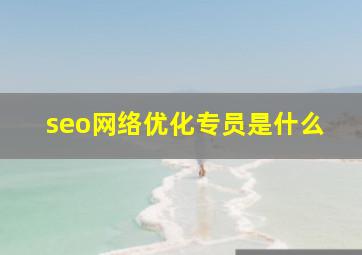 seo网络优化专员是什么
