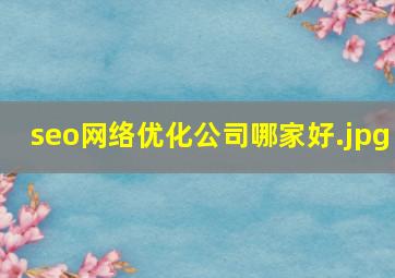 seo网络优化公司哪家好
