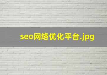 seo网络优化平台