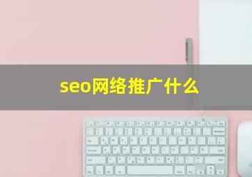 seo网络推广什么