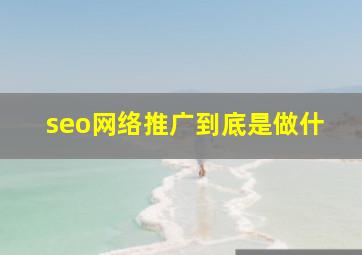 seo网络推广到底是做什