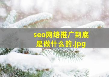 seo网络推广到底是做什么的
