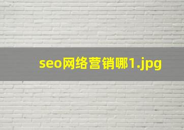 seo网络营销哪