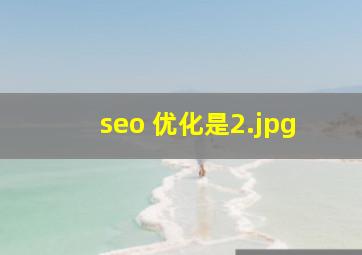 seo 优化是