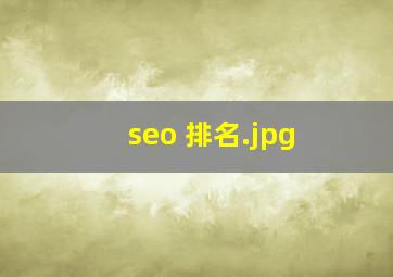 seo 排名