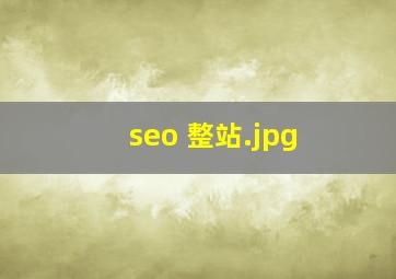 seo 整站