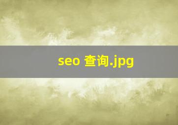 seo 查询
