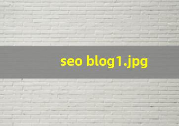seo blog