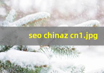 seo chinaz cn