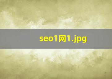 seo1网