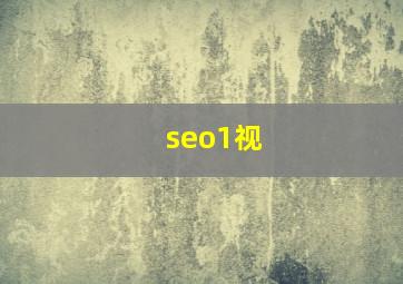 seo1视
