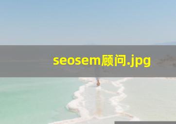 seosem顾问