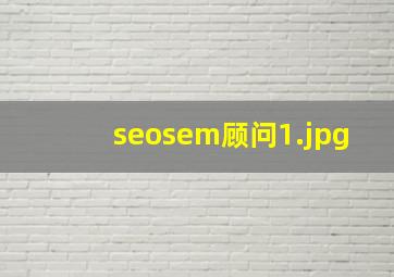 seosem顾问