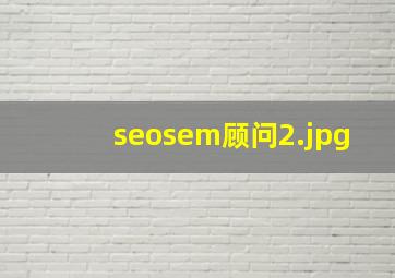 seosem顾问