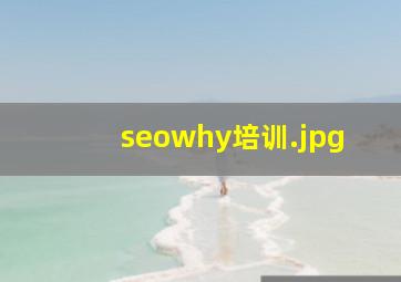 seowhy培训