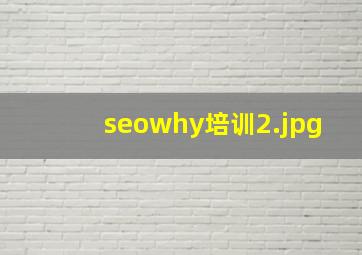 seowhy培训