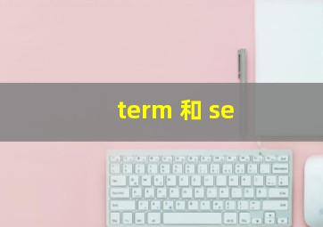 term 和 se