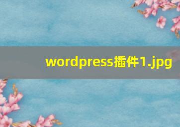 wordpress插件