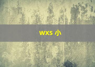 wxs 小